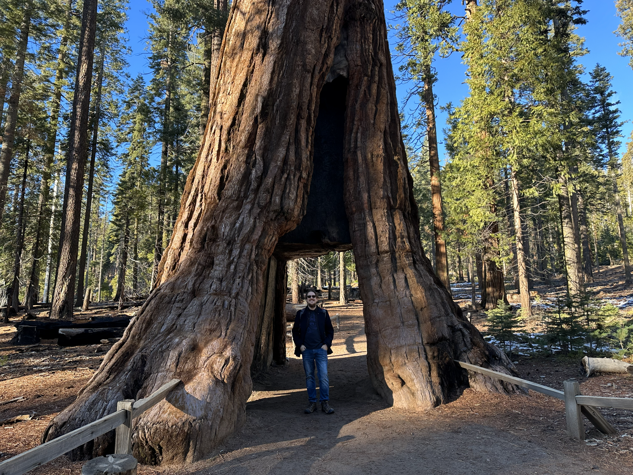 Upcoming Lecture from Yosemite National Park
